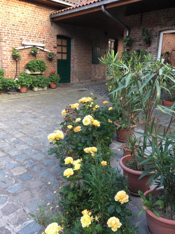 Bed and Breakfast Ferme Brocart Bouvines Екстер'єр фото